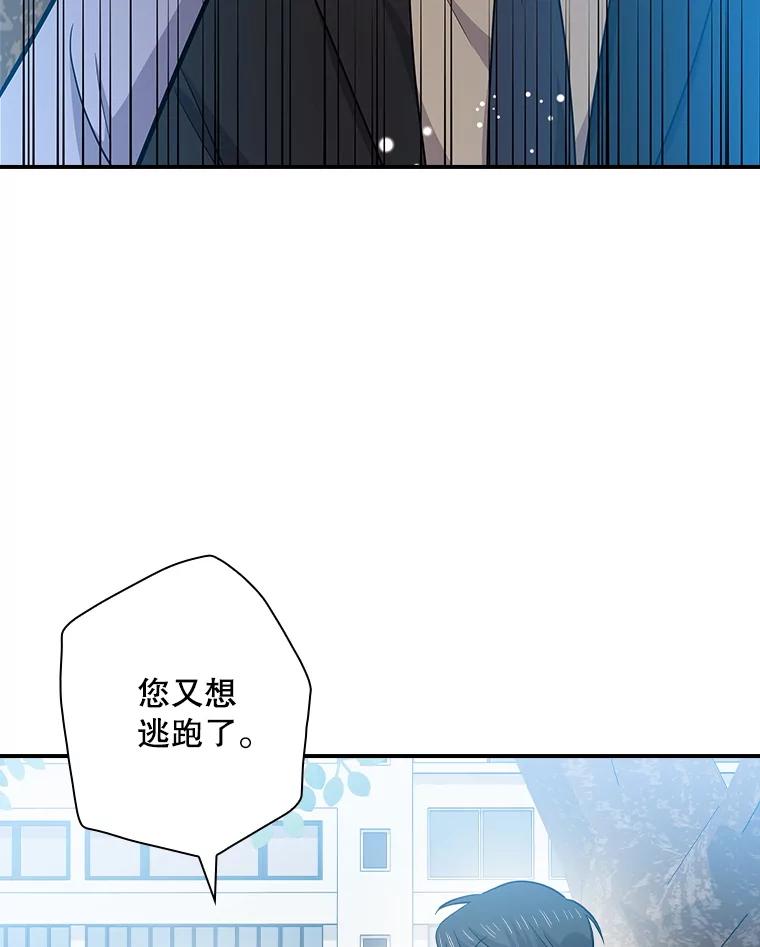 第246页