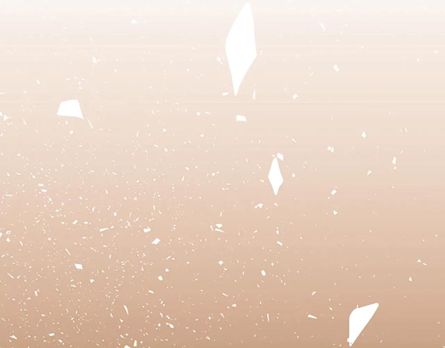 第228页