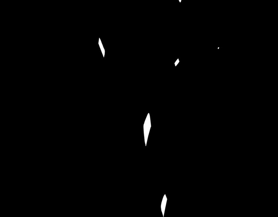 第231页