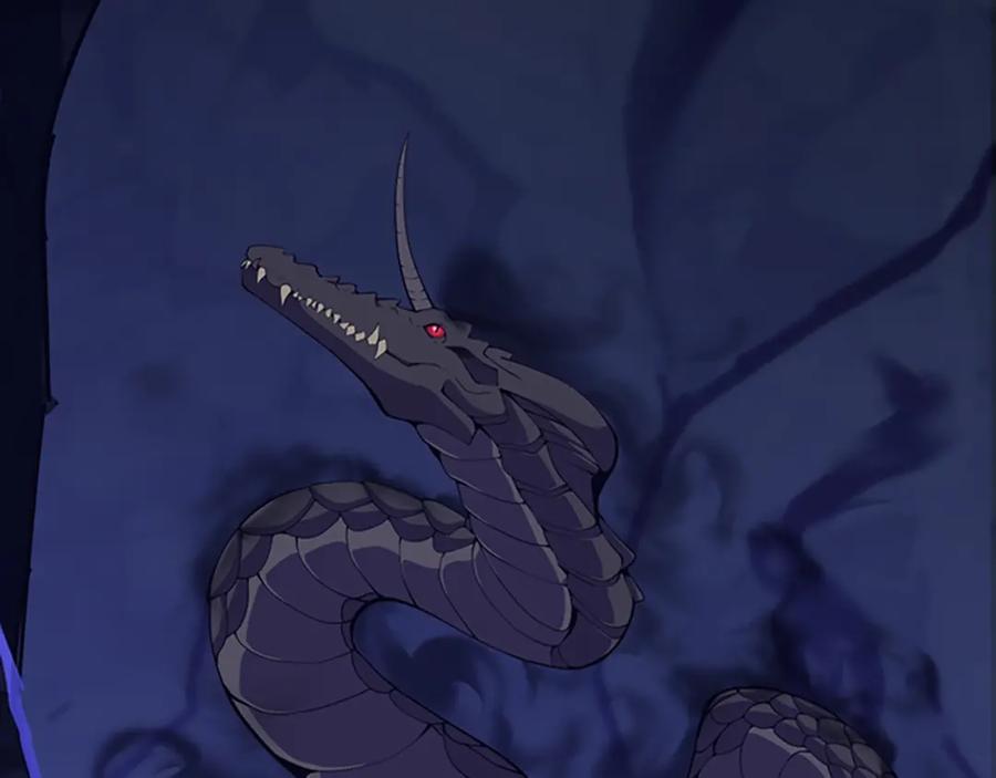 第204页