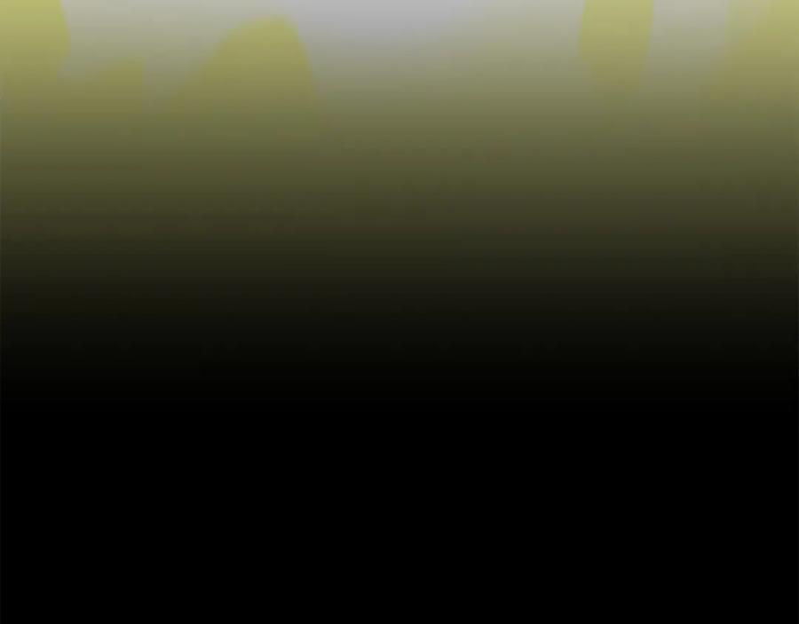 第223页