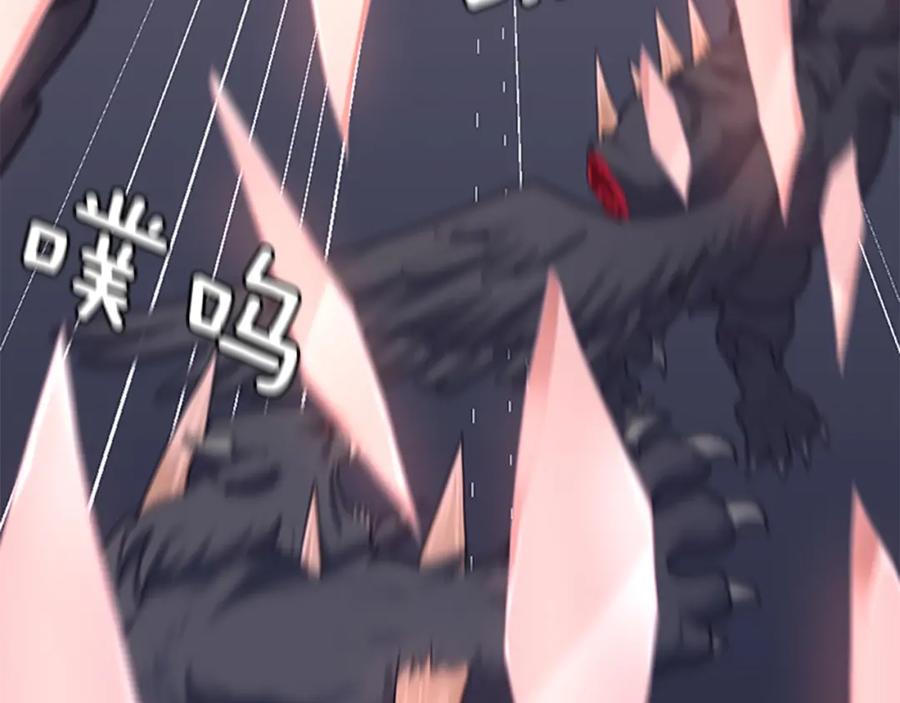 第244页