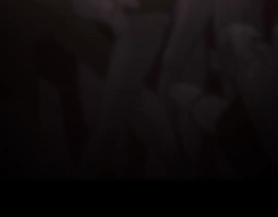 第204页