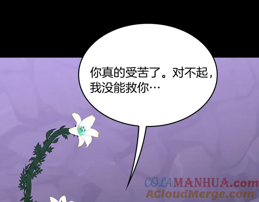 第285页