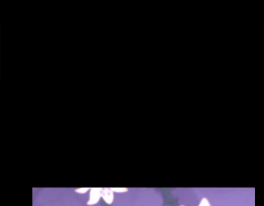 第294页