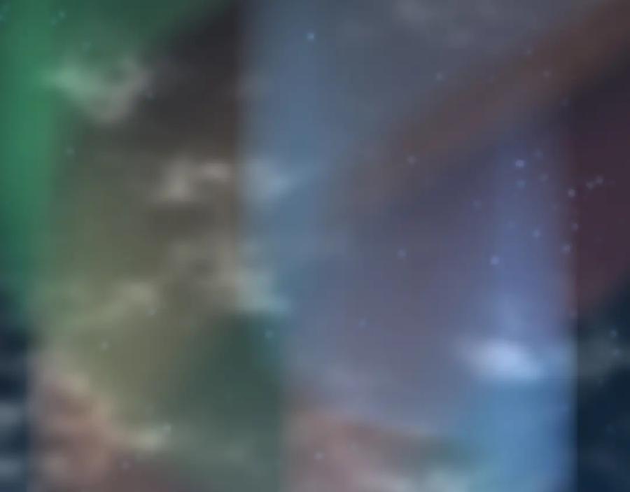 第204页