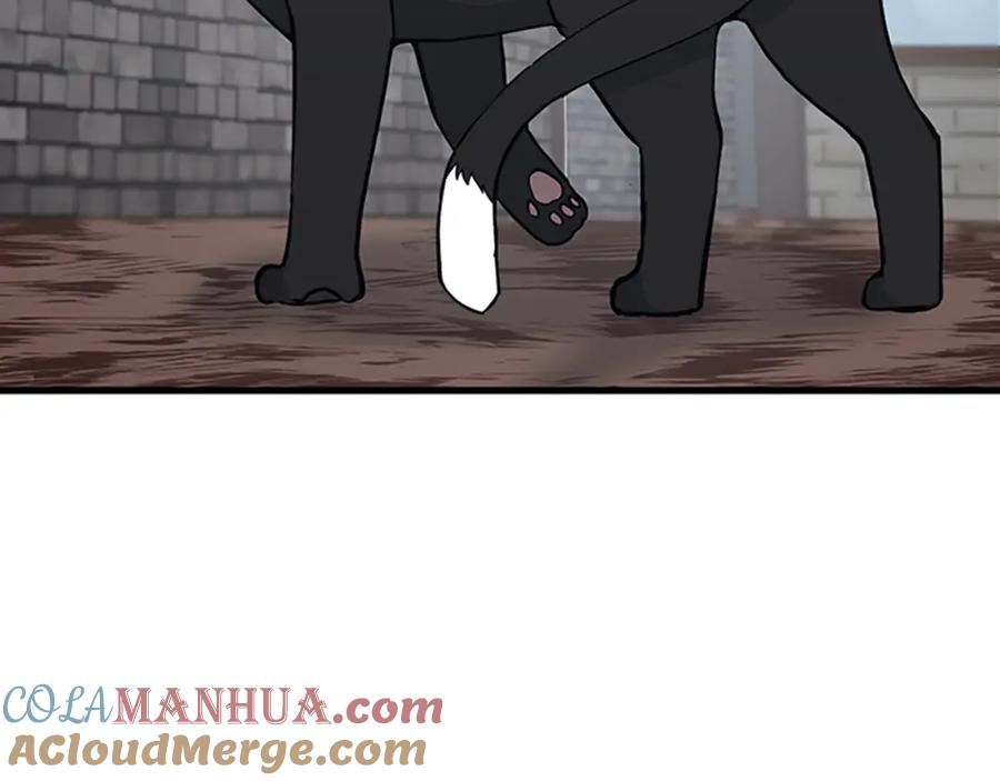 第217页