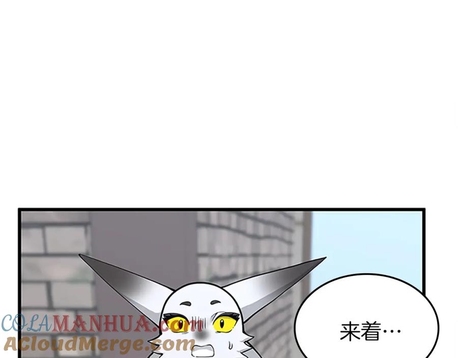 第237页