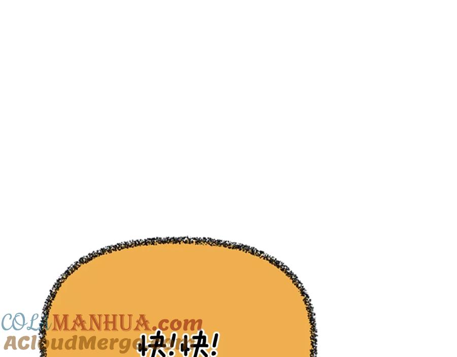 第233页