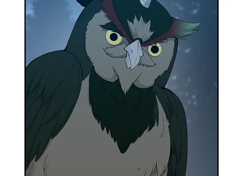 第215页