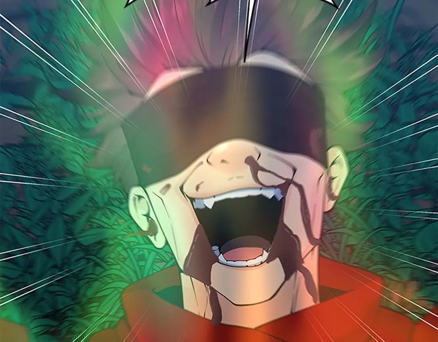 第260页