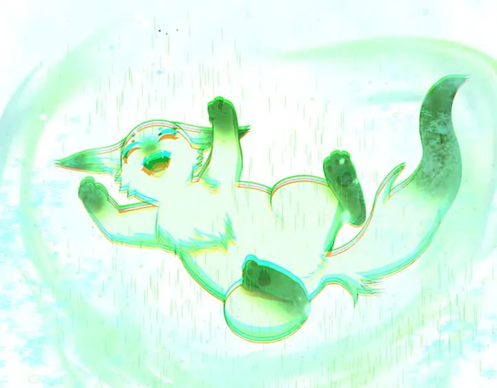 第243页