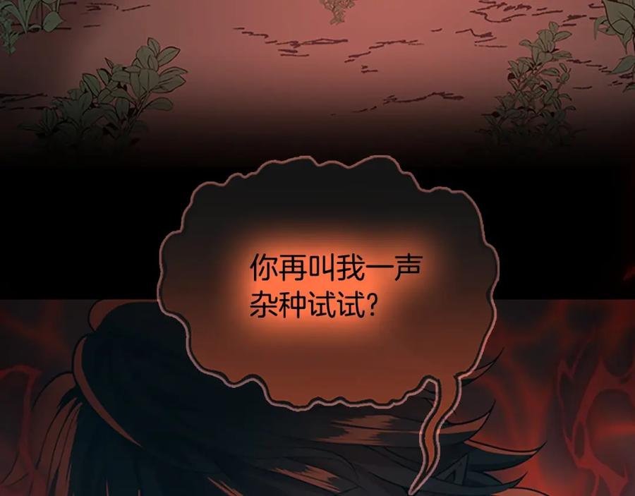 第248页