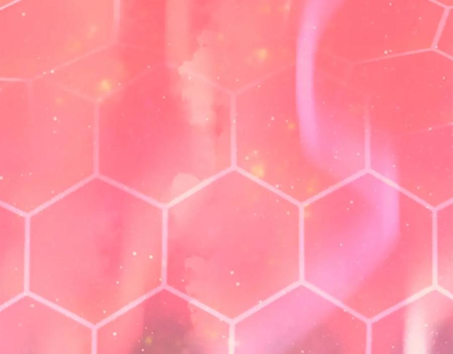 第243页