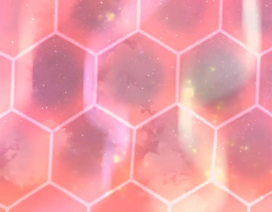 第244页