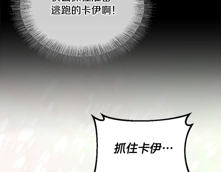 第235页