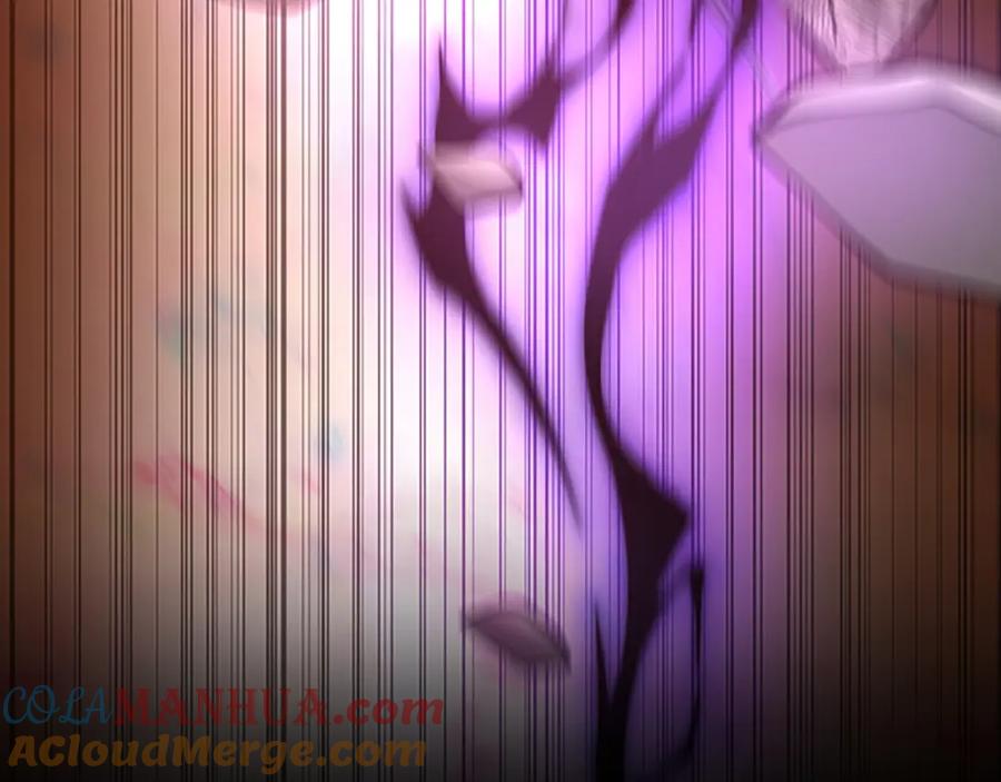 第241页