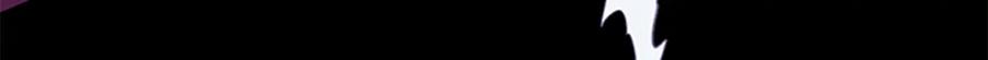 第258页
