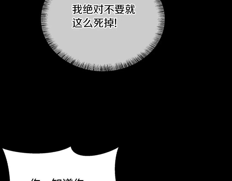 第255页