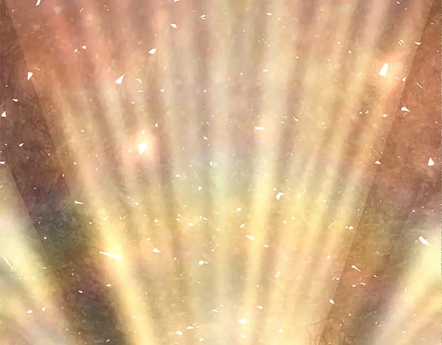 第248页