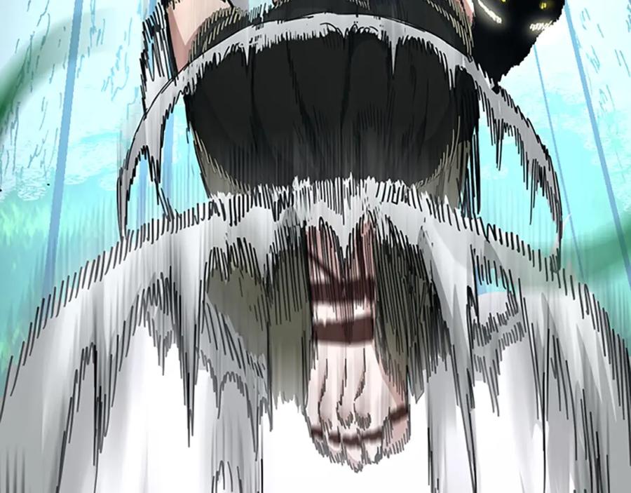 第244页
