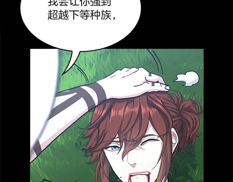 第260页