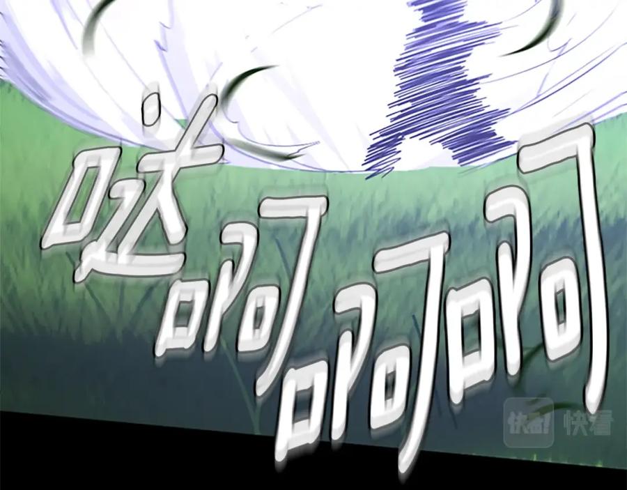 第206页