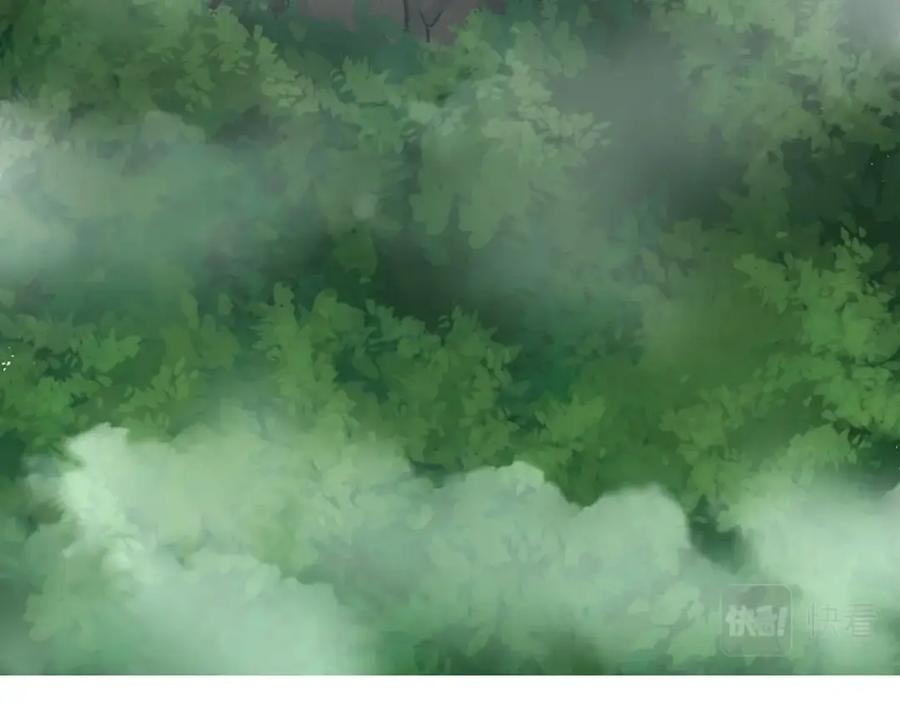 第215页