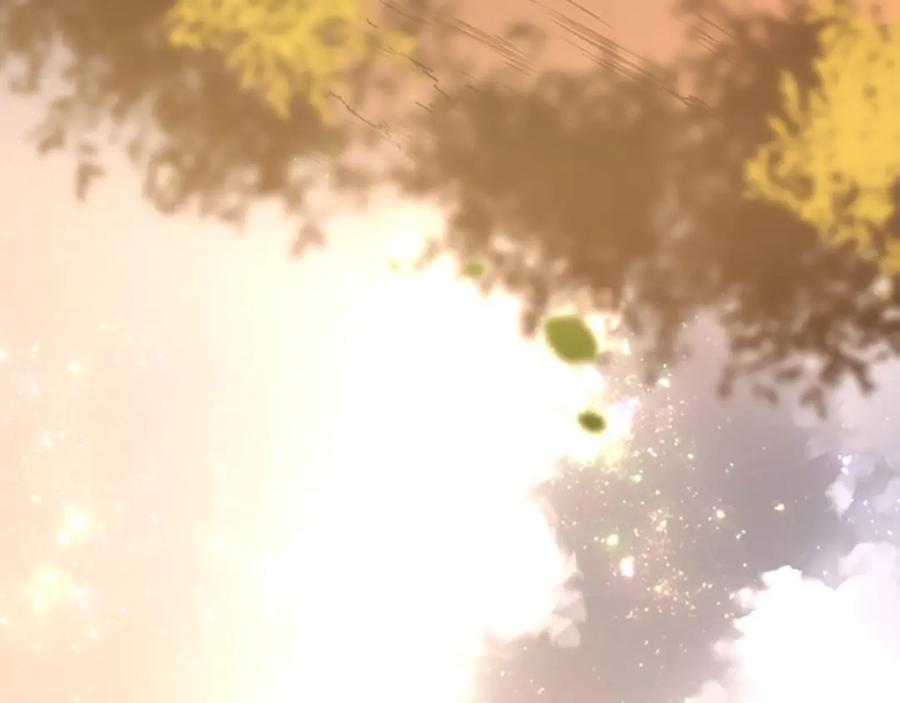 第210页