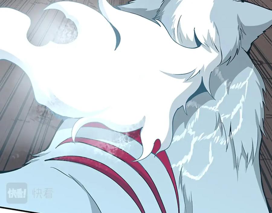 第202页