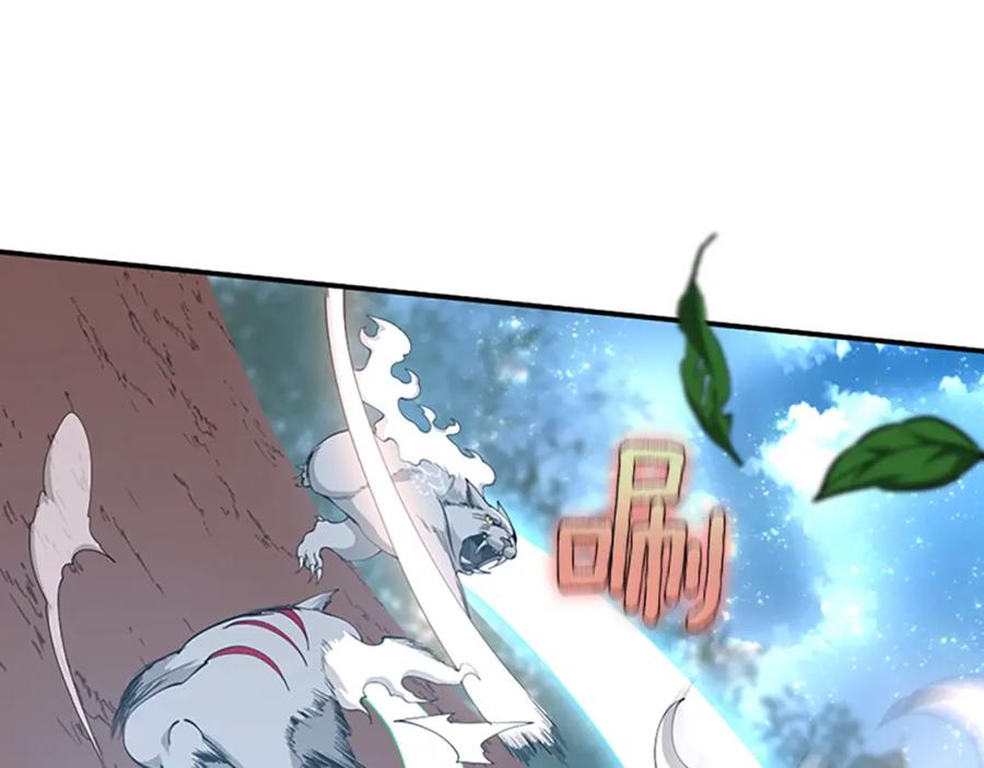 第204页