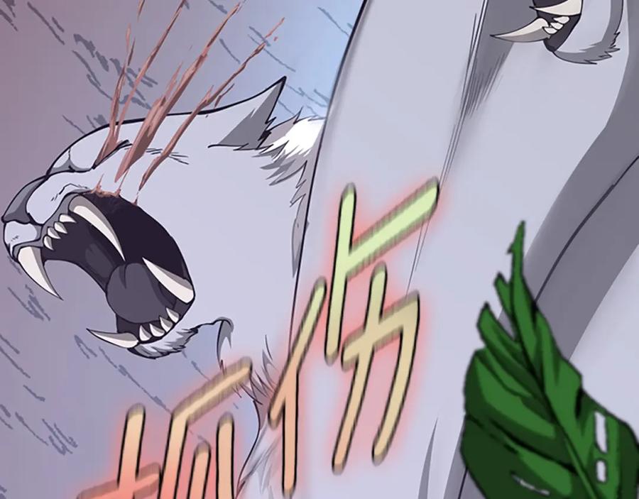 第207页