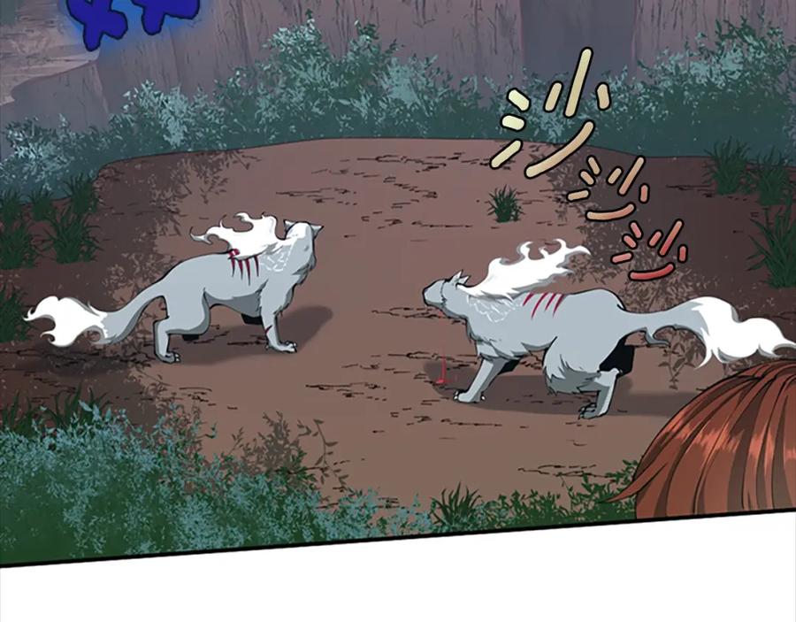 第215页