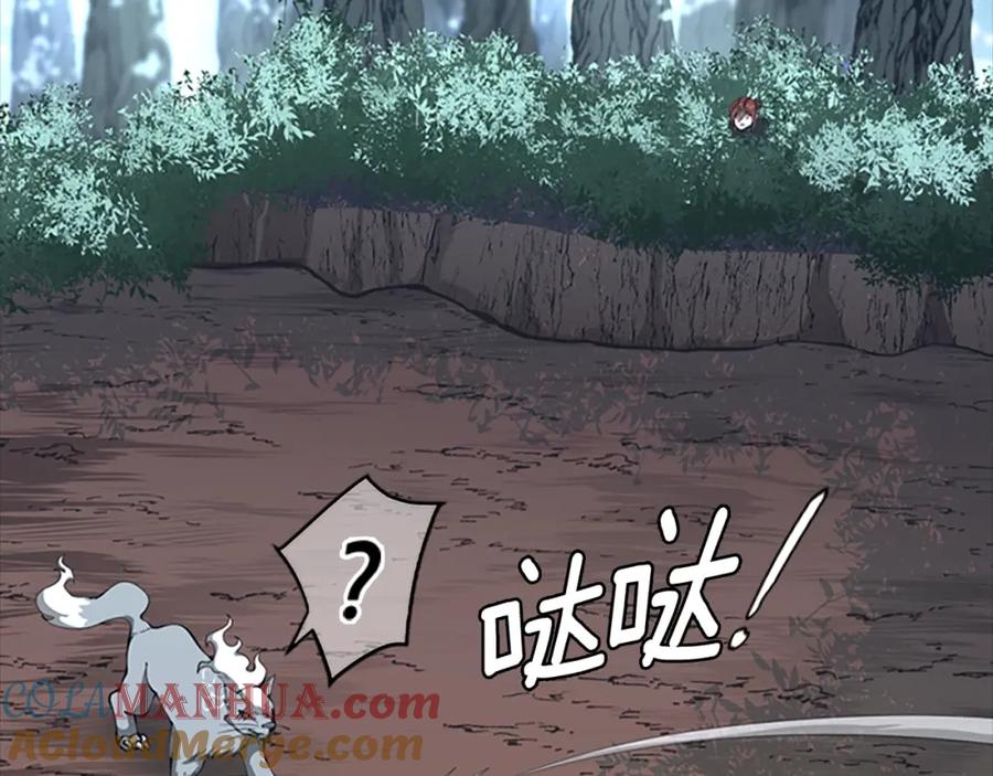 第217页