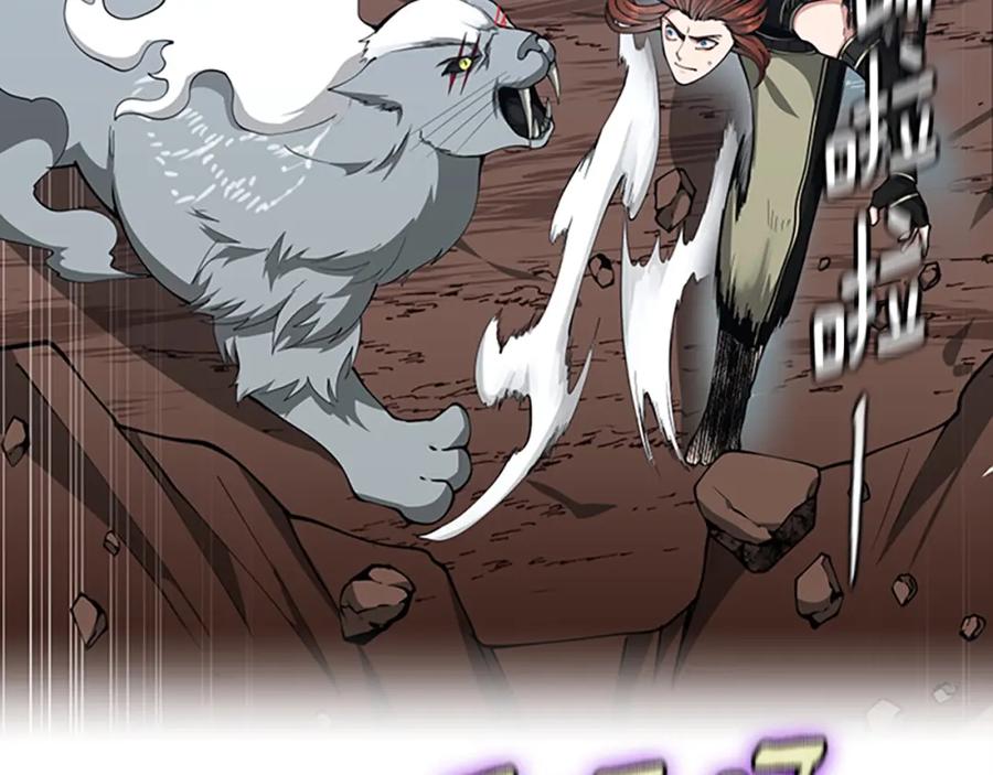 第242页