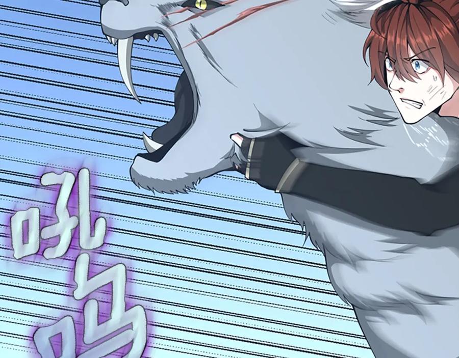 第255页