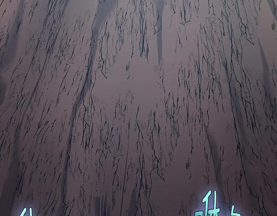 第278页