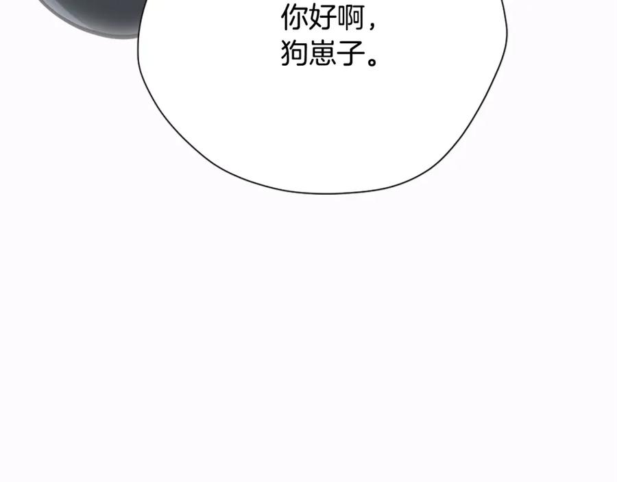 第223页