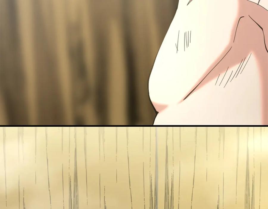 第250页