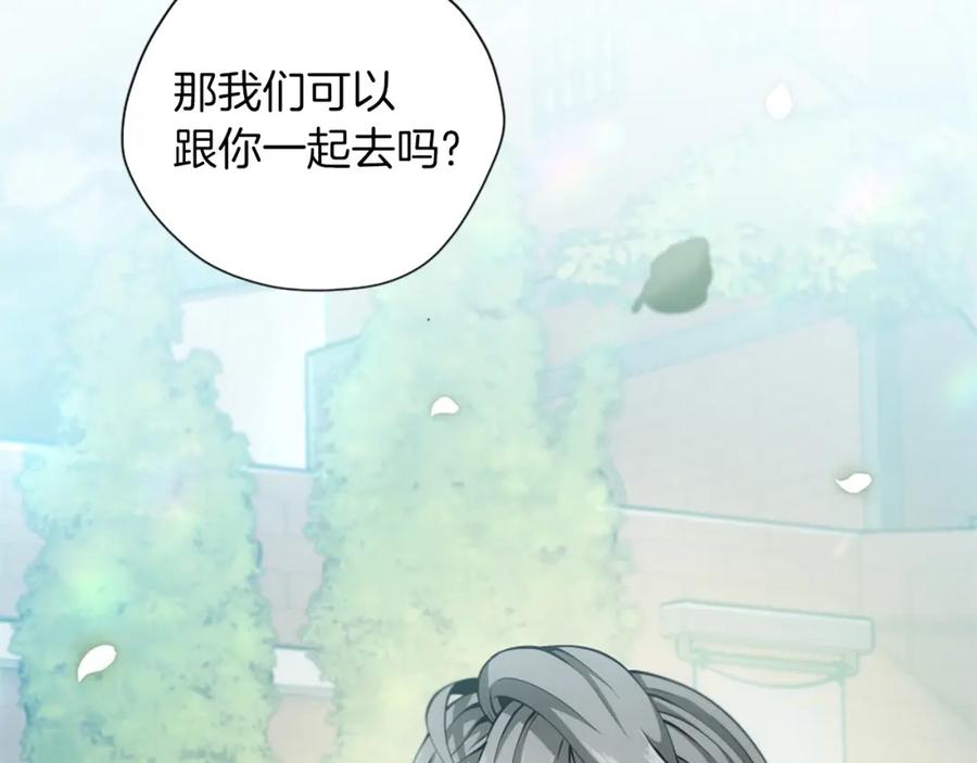 第204页