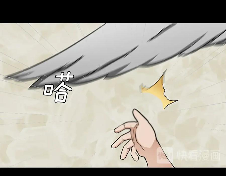 第204页