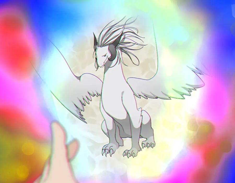 第216页