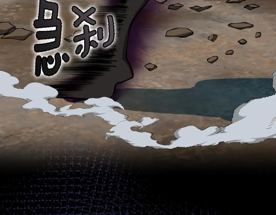 第204页