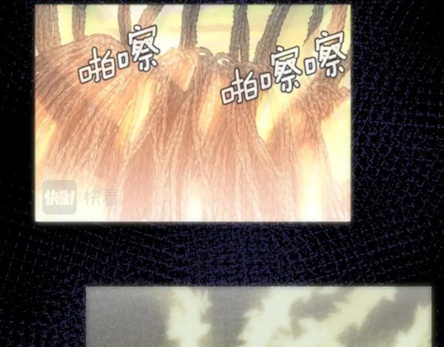 第206页