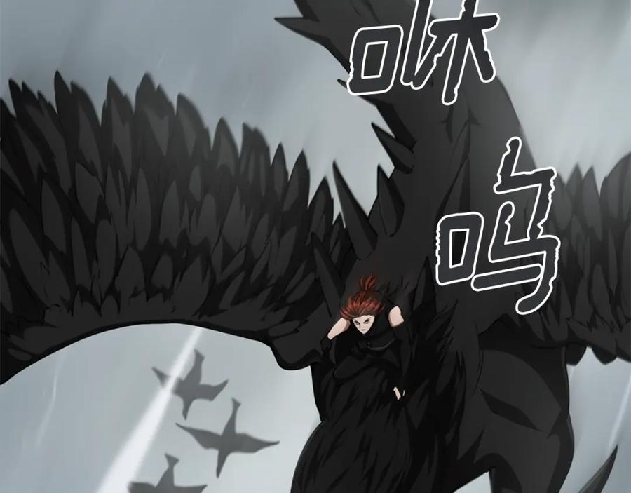 第203页