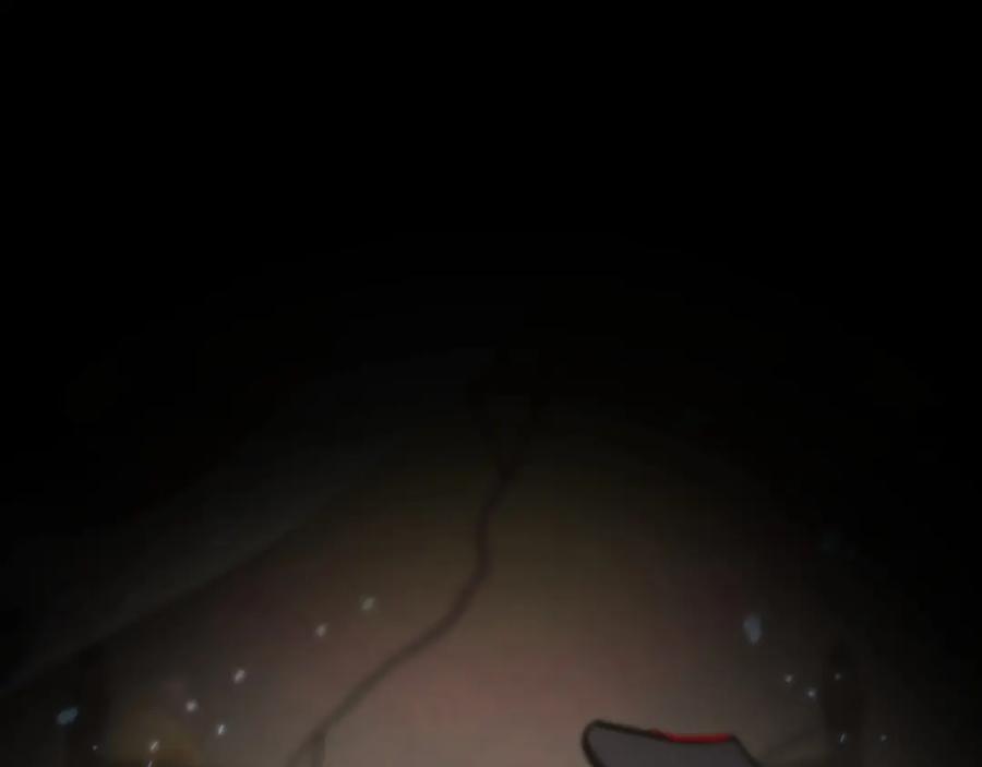 第251页