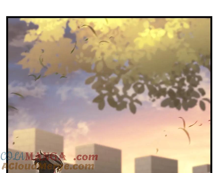 第216页