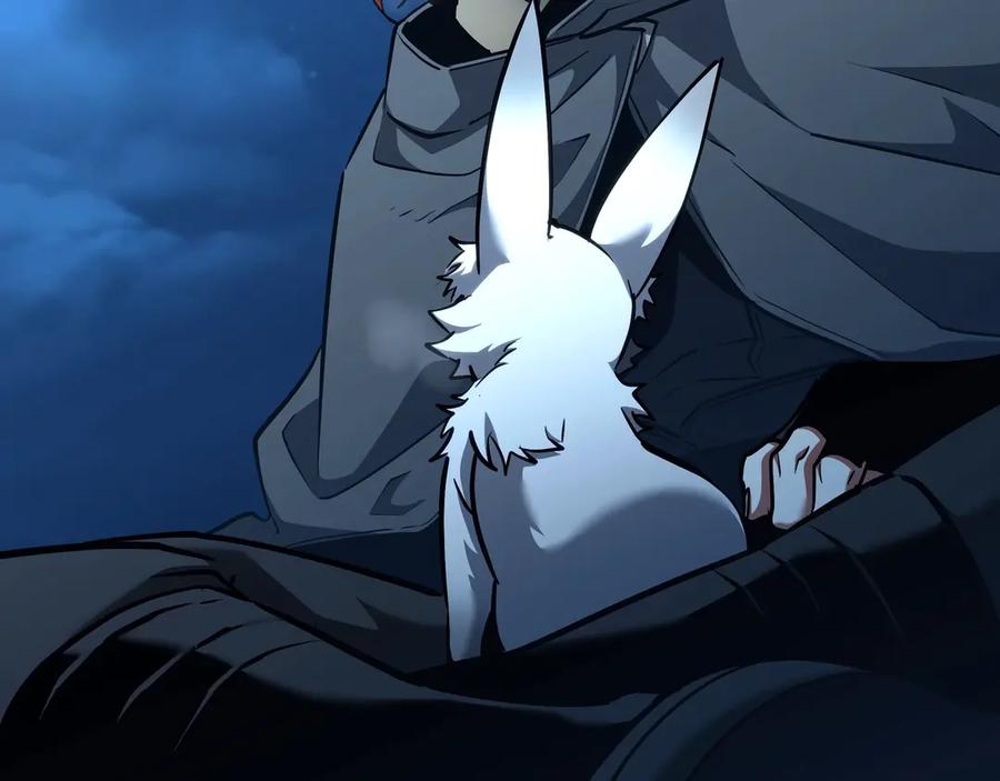 第247页