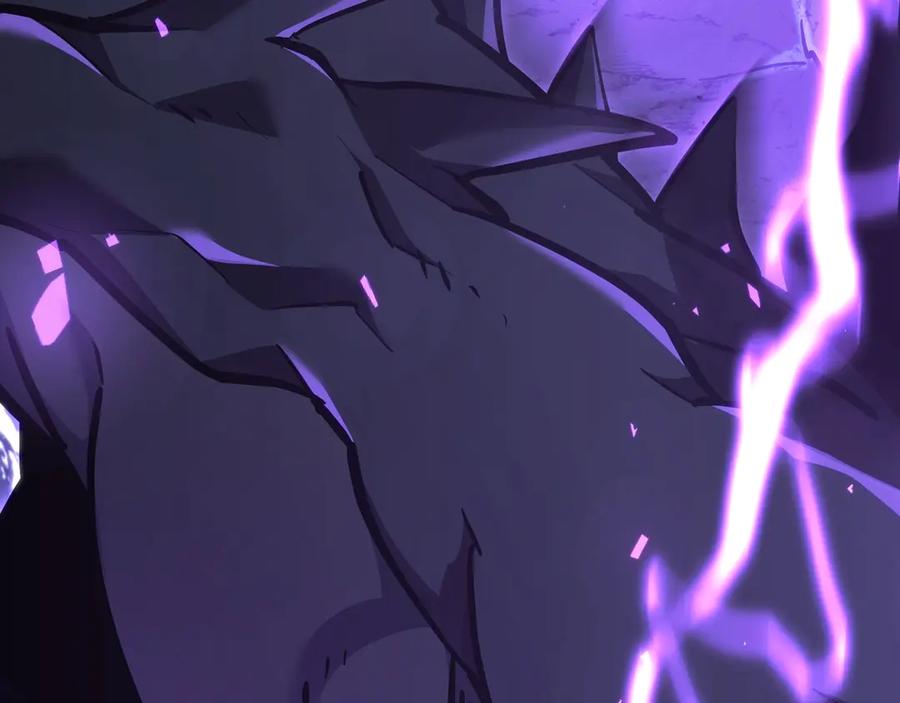 第255页