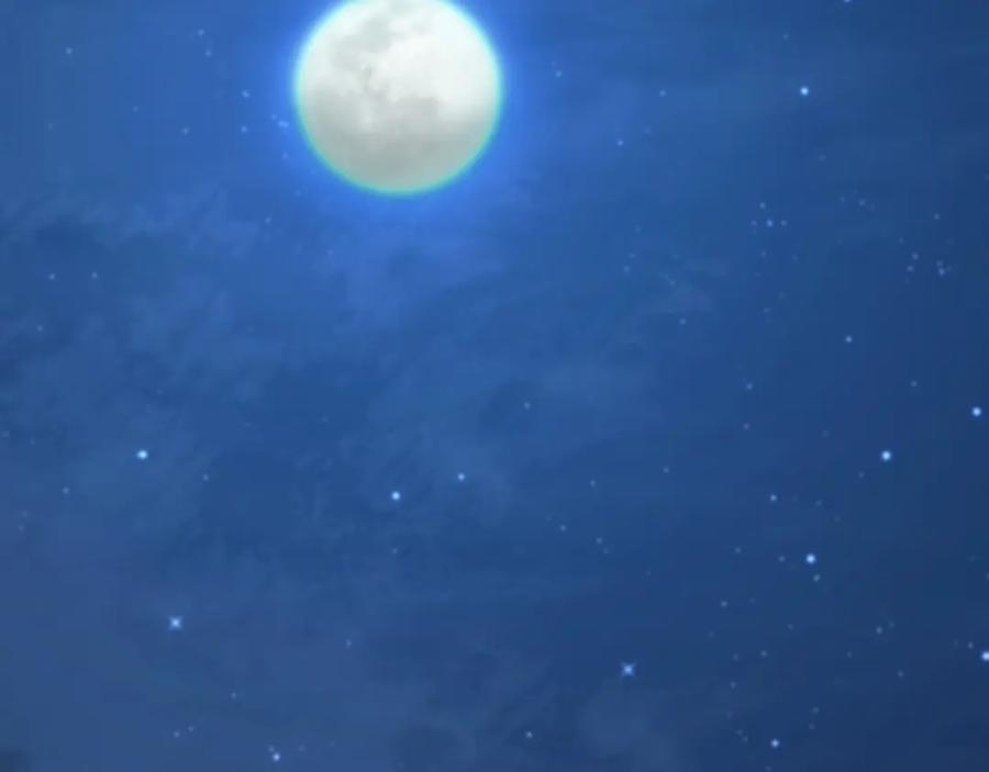 第275页